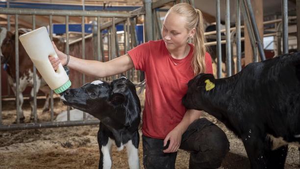 <span>Det finns en stor bredd av yrken inom jord- och skogsbruk, djurhållning och trädgård som kan vara lockande för ungdomar om de bara kände till dem. För att unga ska kunna välja ett yrke måste de veta att det finns.</span>